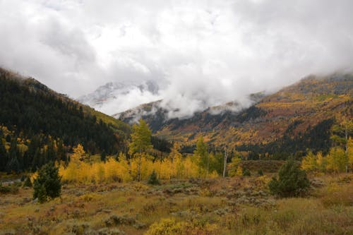 Scenic View of the Foggy Mountains During Autumn Season