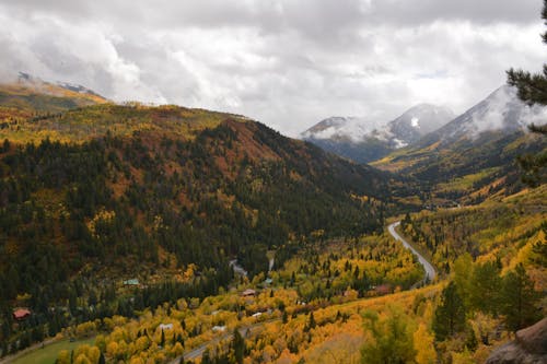 A Curvy Road Between Green Mountains