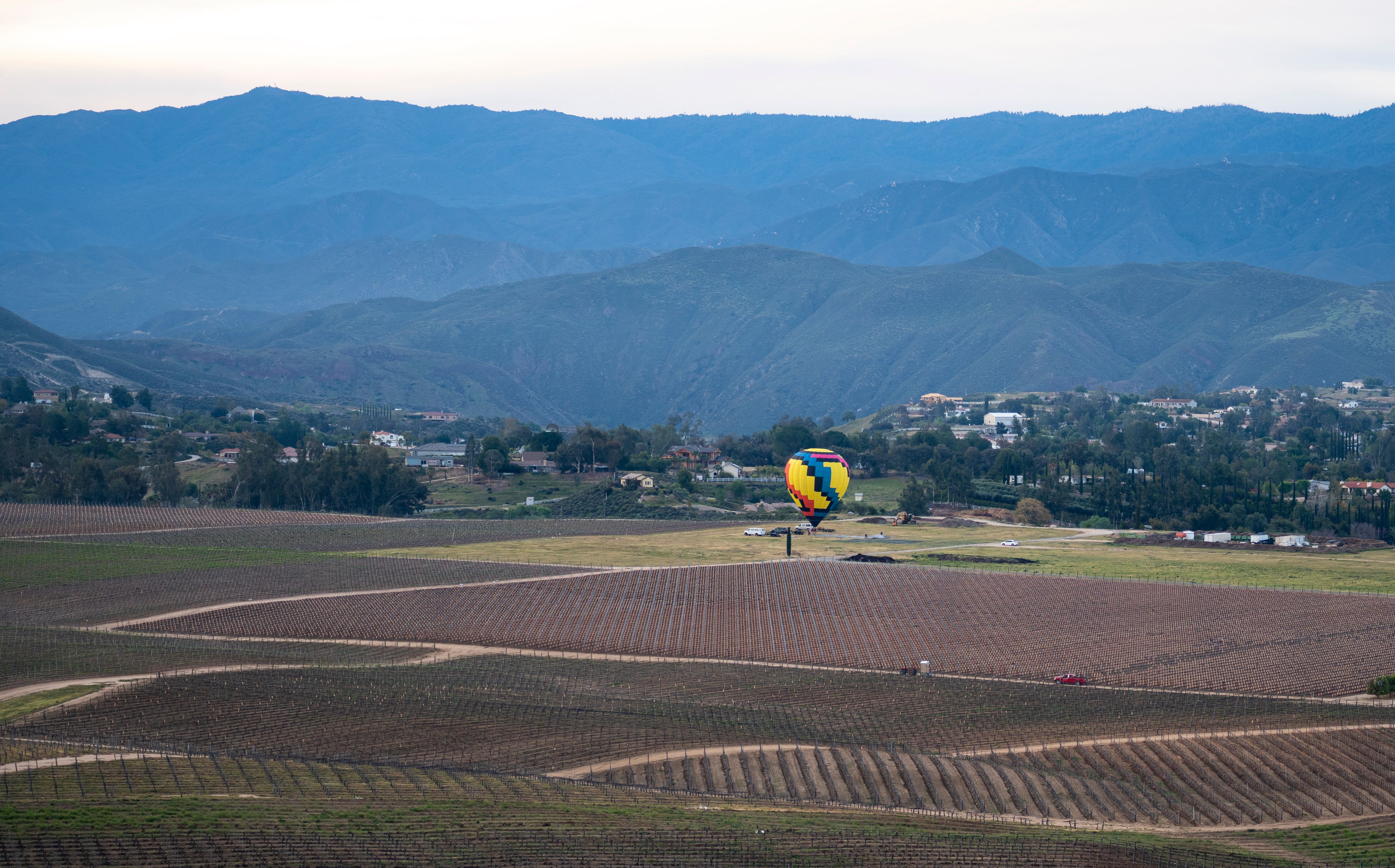 A vibrant hot air balloon flies over Temecula's scenic vineyards and mountains.