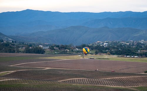 Aerial Footage of a Cropland 