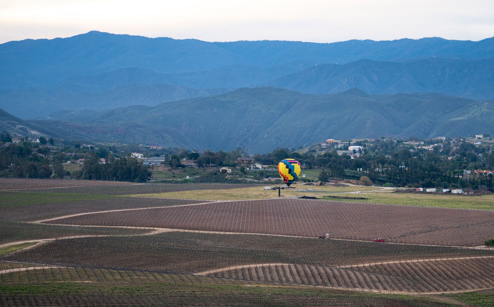 A vibrant hot air balloon flies over Temecula's scenic vineyards and mountains.