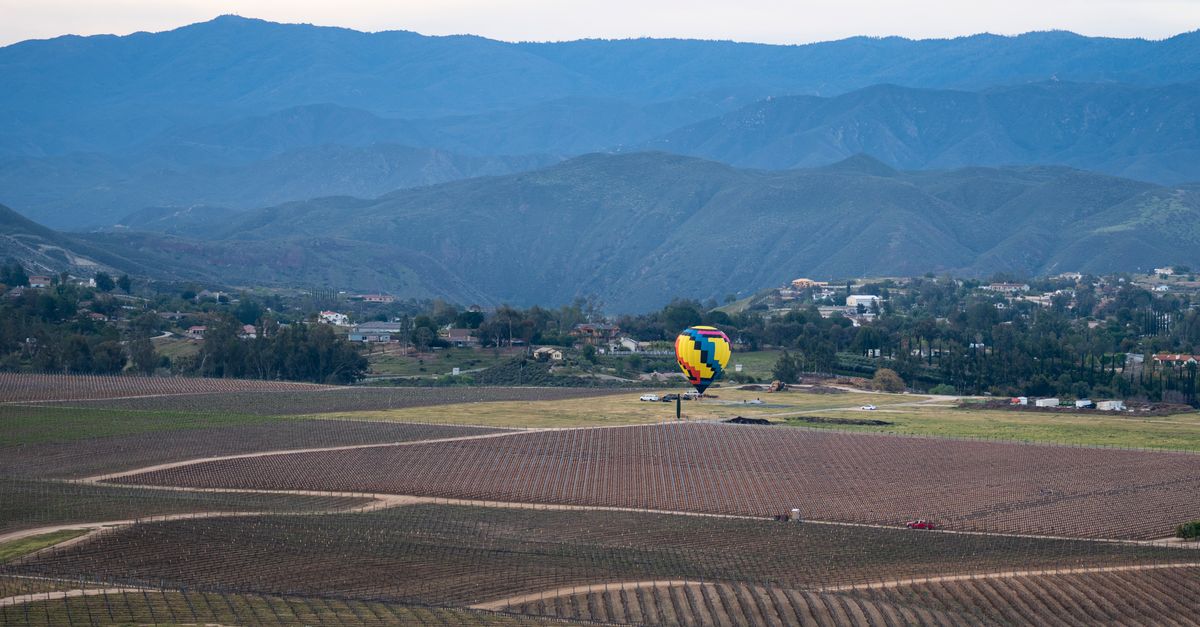 A vibrant hot air balloon flies over Temecula's scenic vineyards and mountains.