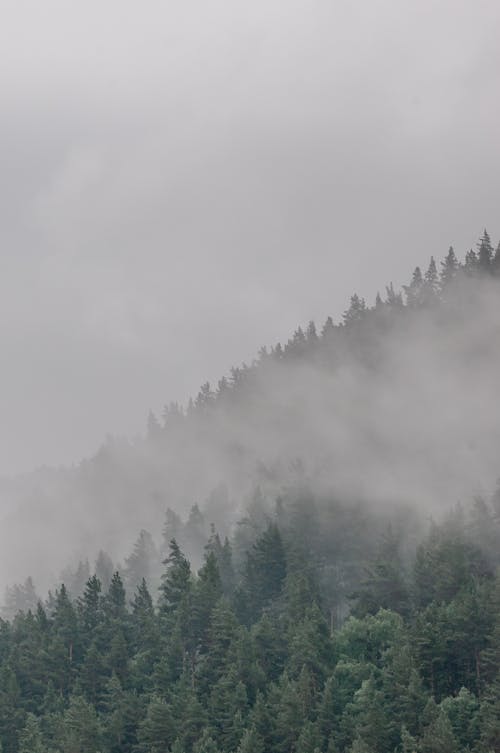 Gratis stockfoto met bergen, bewolkt, bomen