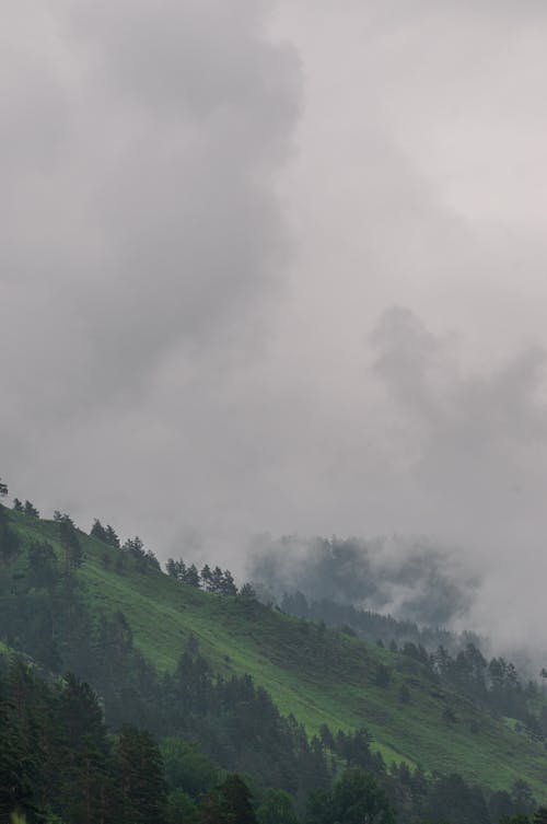 Free Trees in the Cloudy Mountains Stock Photo