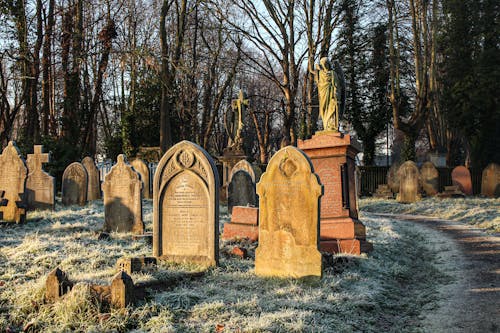 Free Gravestones ona  Graveyard  Stock Photo