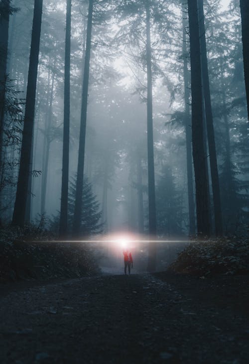 Person Standing with Light in Deep Forest
