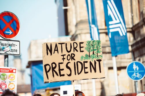 Kostenloses Stock Foto zu aktivist, beschwerde, klimaaktivist