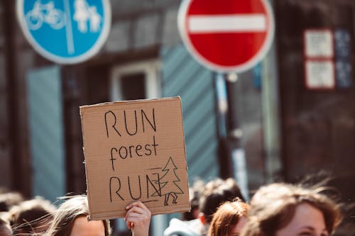 Free Hand of a Person Holding a Cardboard Placard Stock Photo