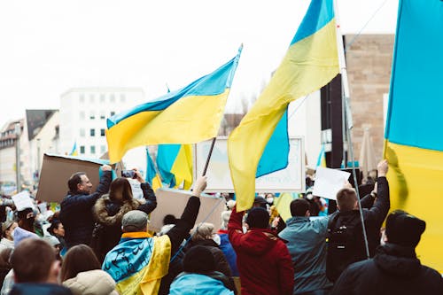 Free People Gathering on Street Holding Ukraine Flags  Stock Photo