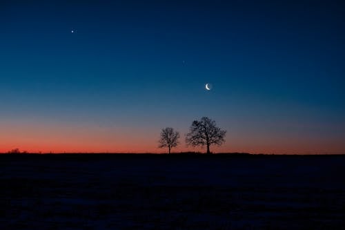 Foto d'estoc gratuïta de a l'aire lliure, alba, arbres