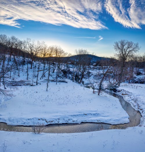 Creek In a Snowy Forest Full of Bare Trees