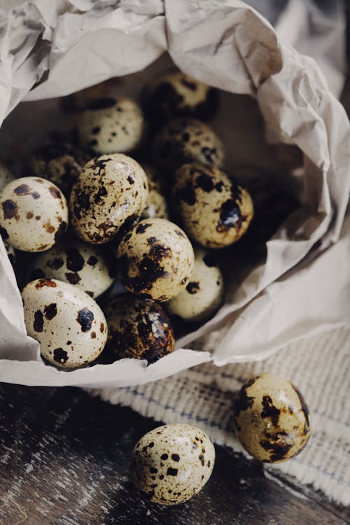 Quail Eggs in Close Up Photography