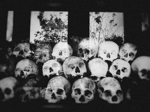 Free Grayscale Photo of Skulls Stock Photo