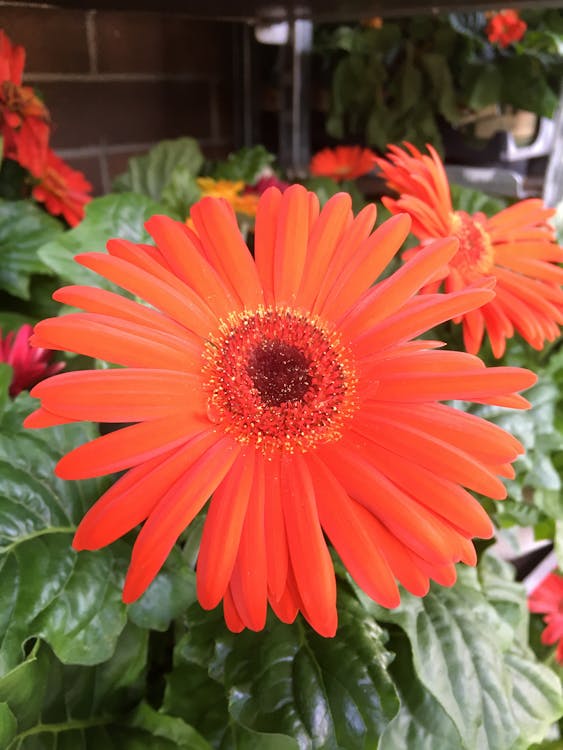 AI 如何重塑英國奧運:2026 年後的運動表現提升策略與預測 AI 如何重塑英國奧運:2026 年後的運動表現提升策略與預測