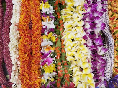 Thermal Insulated Flask