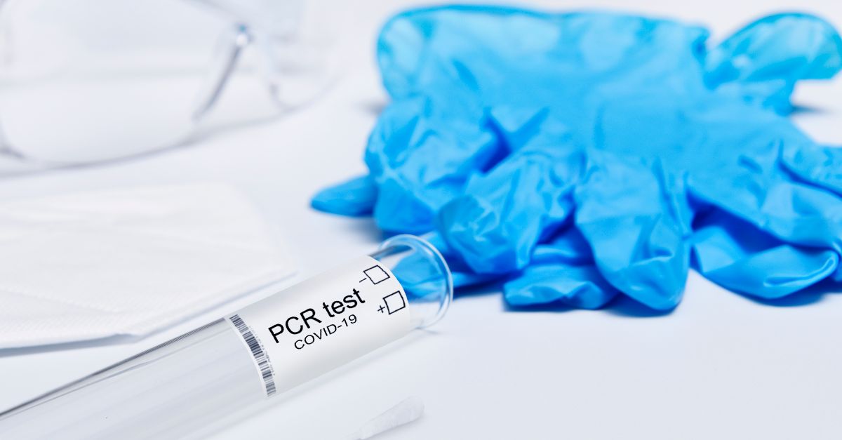 Molbio Diagnostics IPO: A High-Risk Bet for Long-Term Gains?