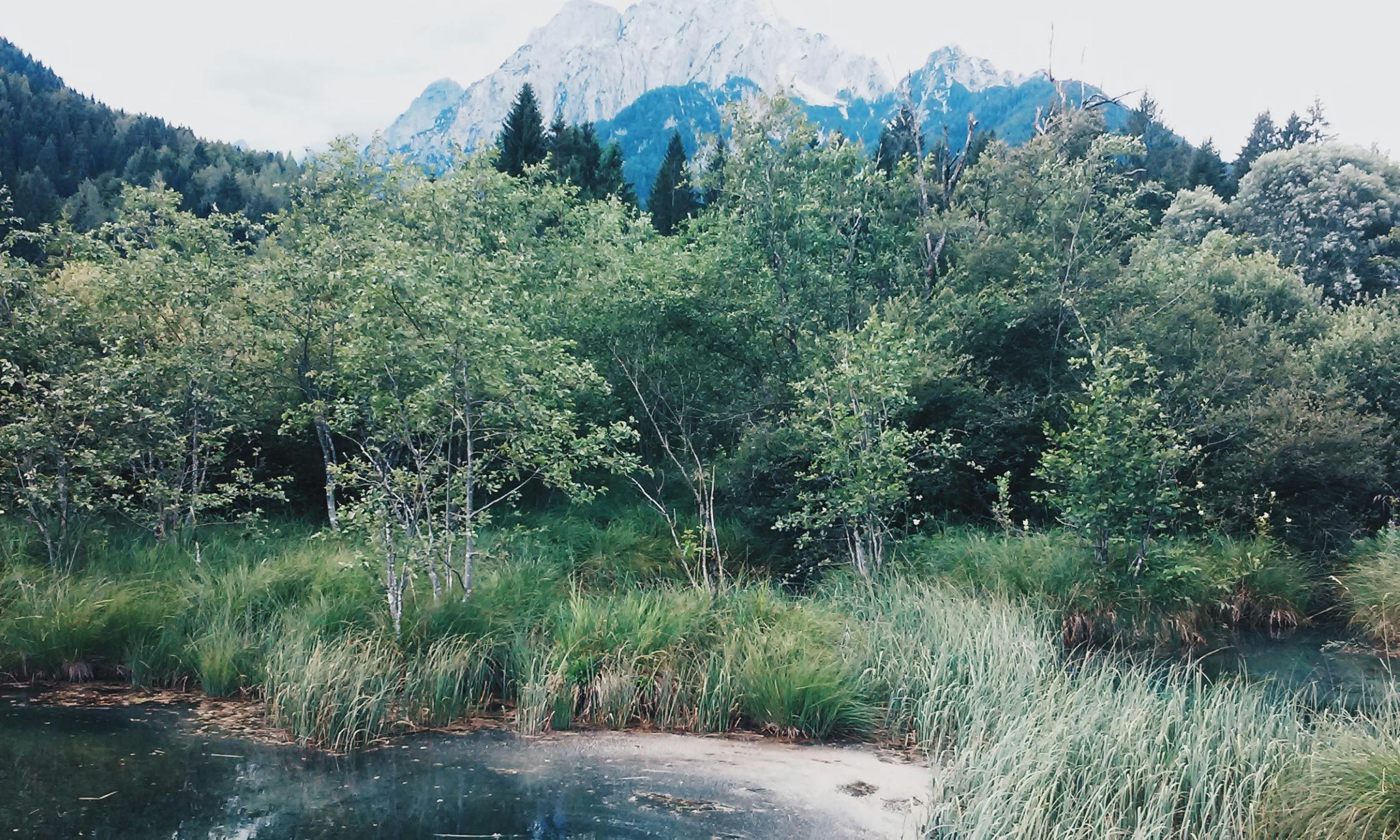 Free Stock Photo From Ana Pexels