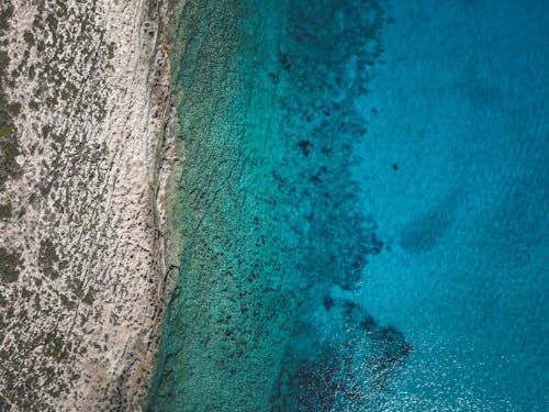 Základová fotografie zdarma na téma písek, pobřeží, povrch