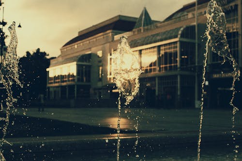 Free stock photo of sunset, water