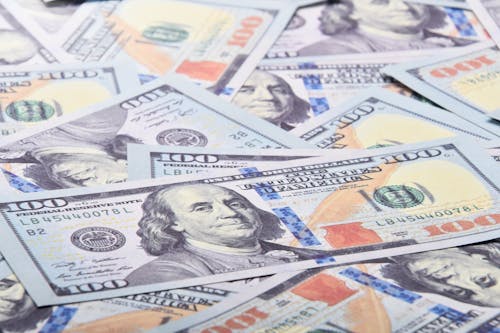 Free Dollar Bills in Close Up Photography Stock Photo