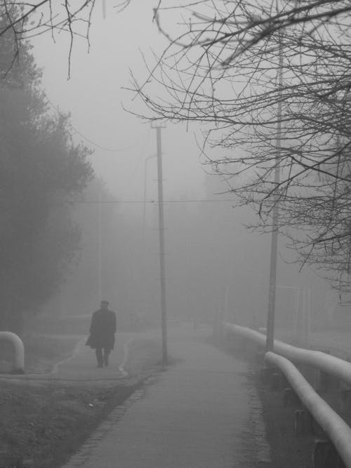 Darmowe zdjęcie z galerii z chodzenie, czarno-biały, mglisty