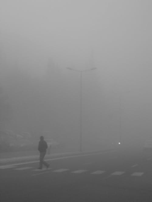 Darmowe zdjęcie z galerii z mgła, mglisty dzień
