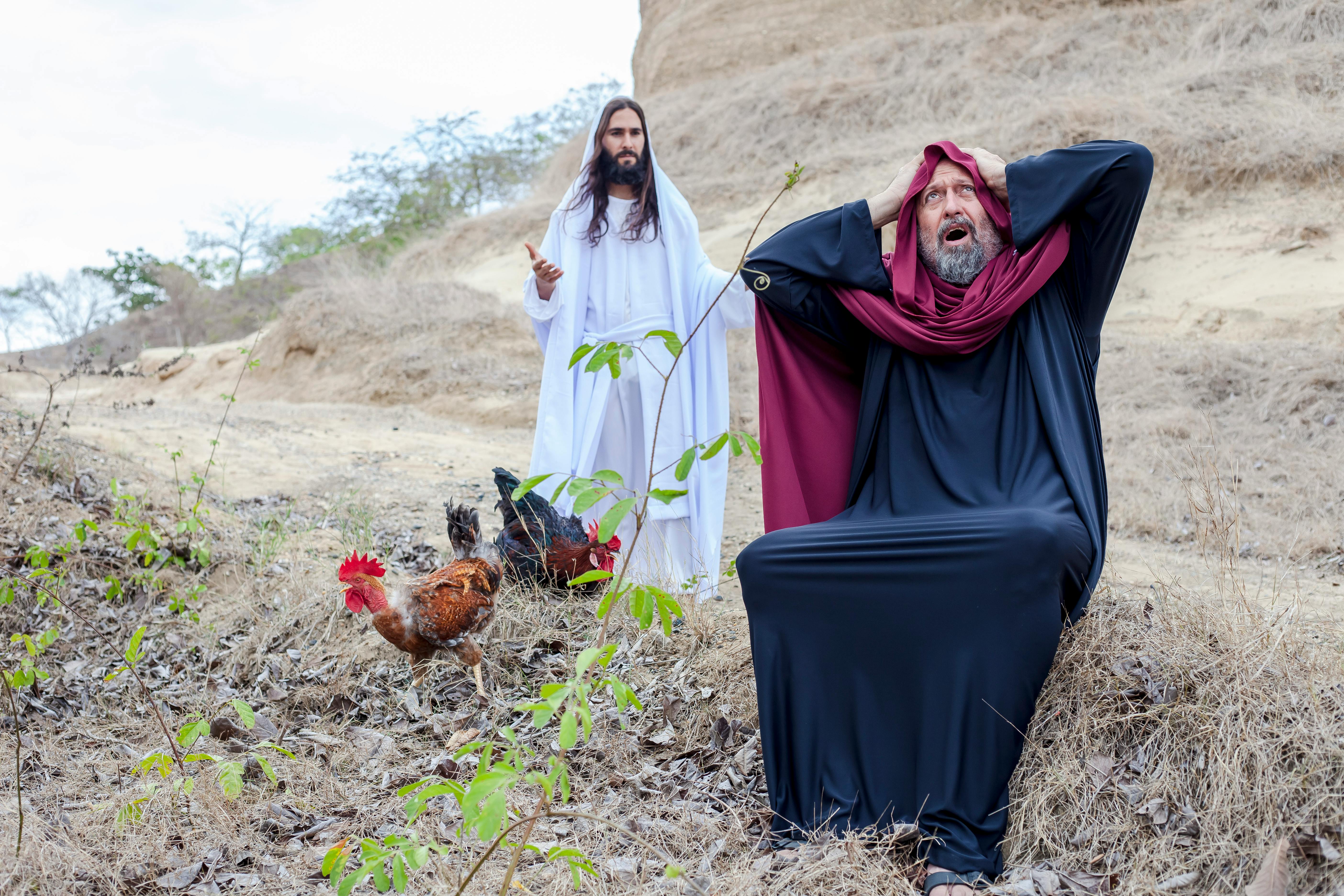 Ücretsiz açık hava, açık tiyatro, arazi içeren Ücretsiz stok fotoğraf Stok Fotoğraflar