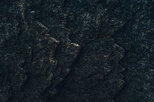 A Close-Up Shot of a Rock Surface