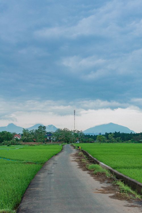 Free Scenic rural pathway cutting through vibrant rice paddies under a cloudy Vietnamese sky. Stock Photo