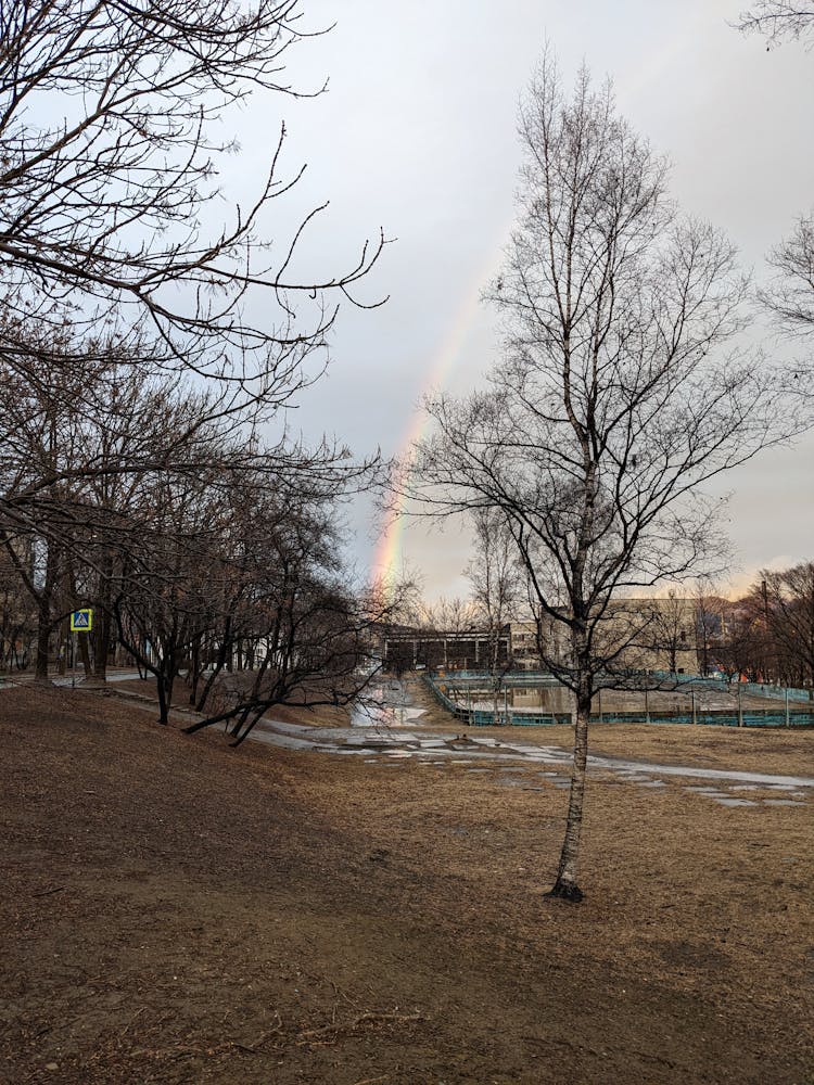 
A View Of A Rainbow From A Park