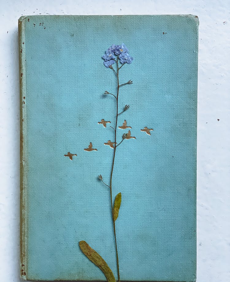 Flower On Old Book Cover