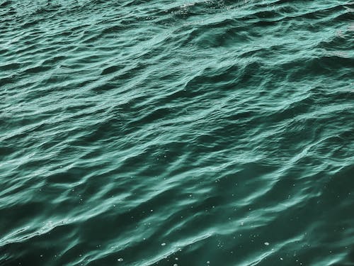 Free 
The Surface of the Ocean Stock Photo