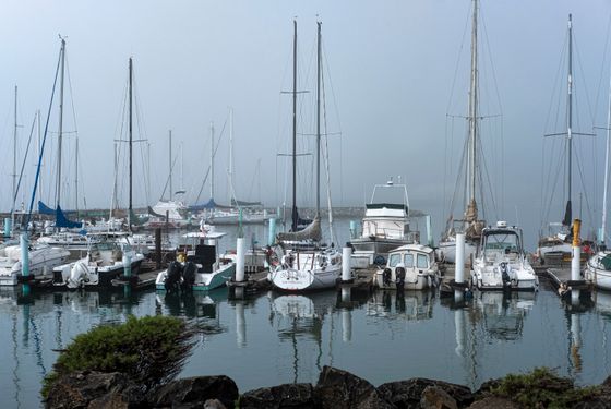 Sailboats moored in mist, photo by David McElwee on Pexels