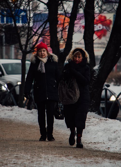 감기, 거리, 걷고 있는의 무료 스톡 사진