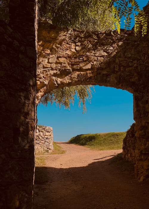 Foto profissional grátis de árvore, cenário, estrada de terra