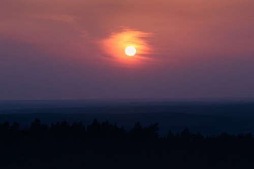 Silhouette of Trees during Sunset