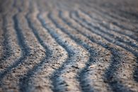 Brown Sand
