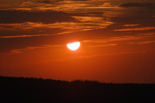 Free stock photo of orange, sunset, treeline