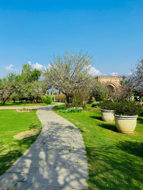 Free Scenic park path lined with blooming trees under a clear blue sky in spring. Stock Photo