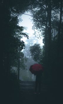 Silhouette of person holding a red umbrella walking through a misty forest pathway in KL, India.