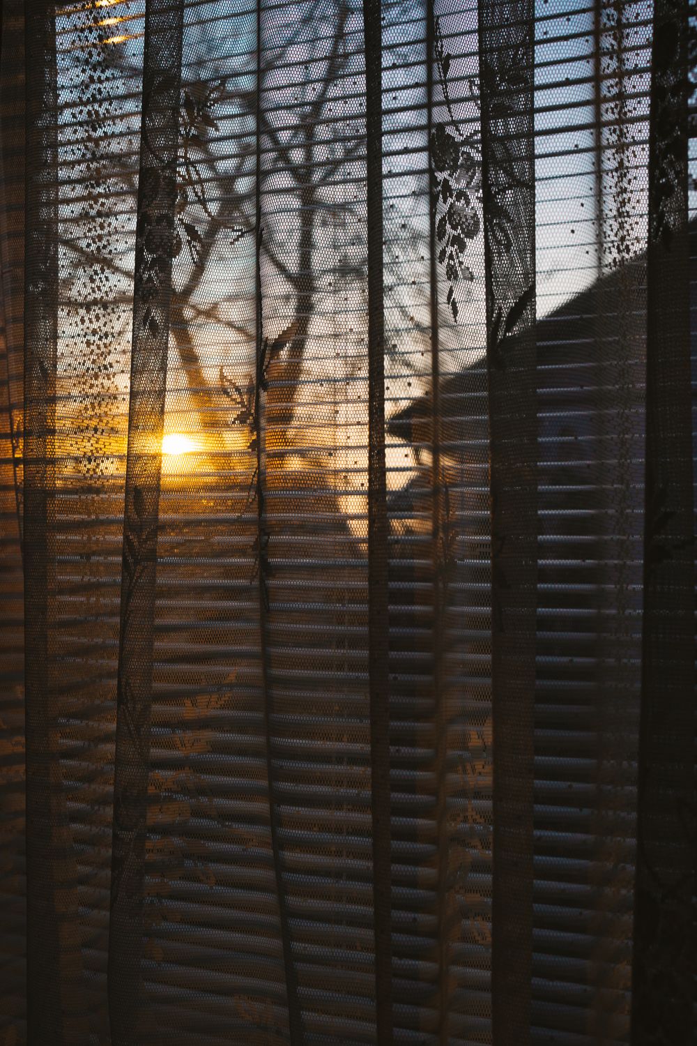 Sheer curtains lit by golden evening light