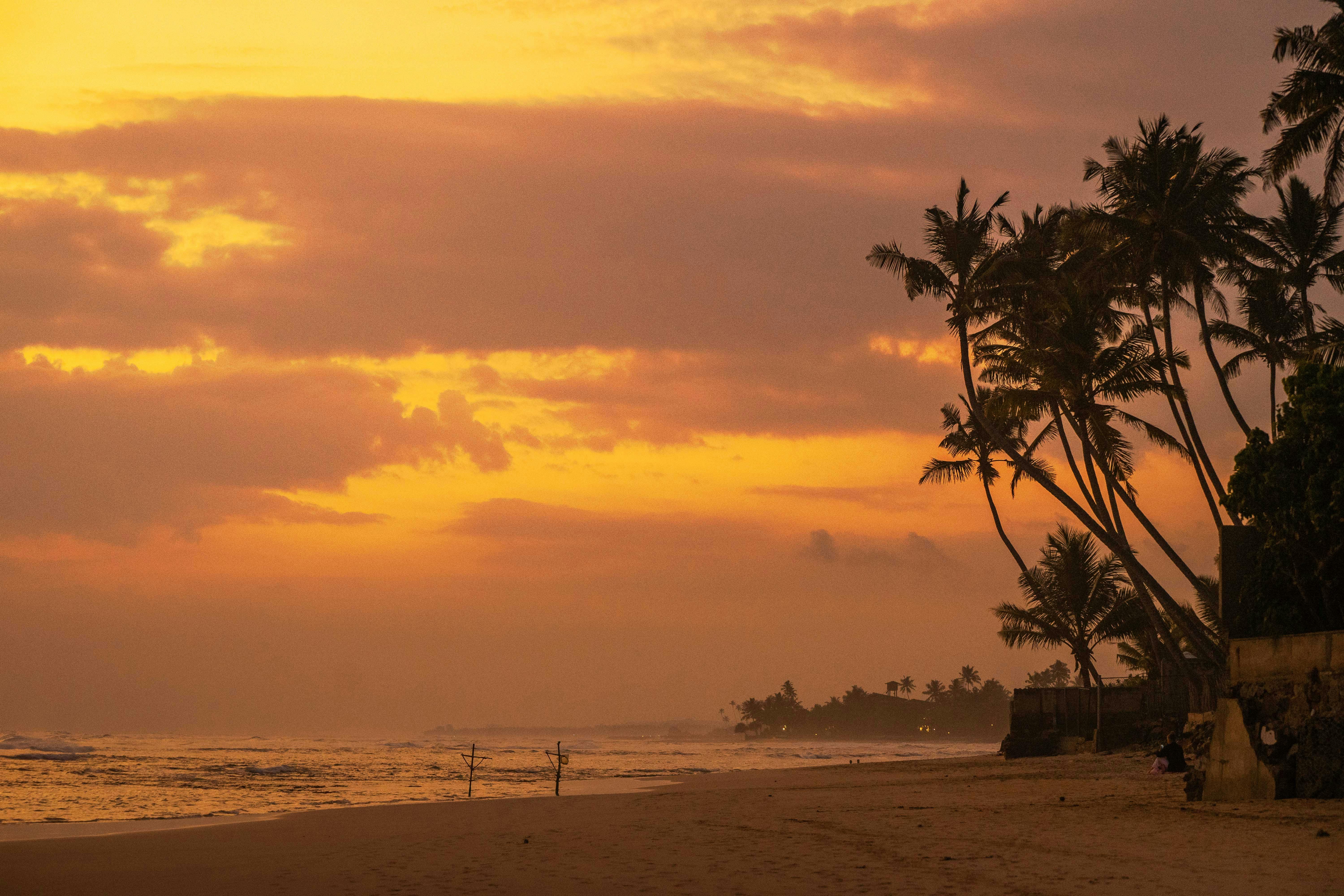 Experience the tranquil beauty of Ahangama Beach at sunset, featuring silhouetted palm trees and a vibrant orange sky. - ¿Dónde dormir en Ahangama?
