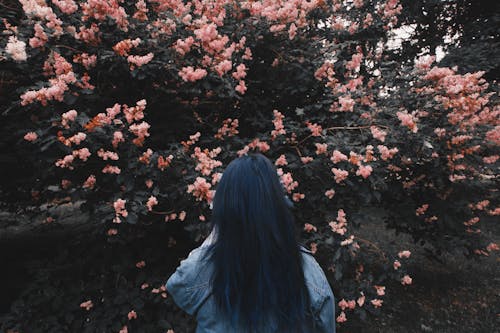 Backview of Woman standing beside Pink Flowers 