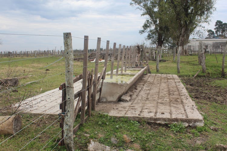 A Concrete Water Trough