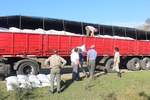 Farmers doing a Manual Labor 