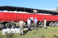 Man in Brown Pants Standing Beside Red Truck