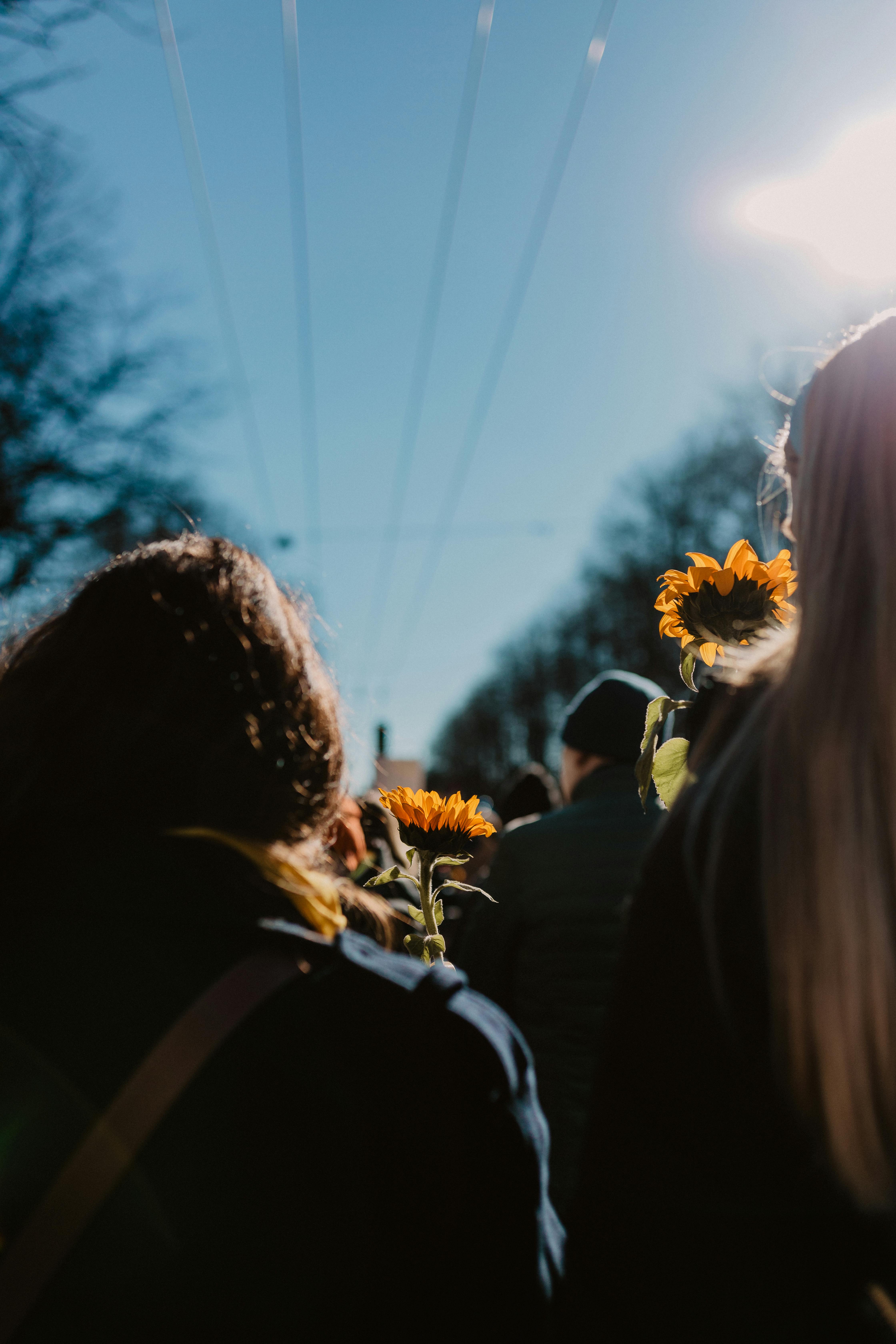 Bringing the Outdoors In: Connecting with Nature