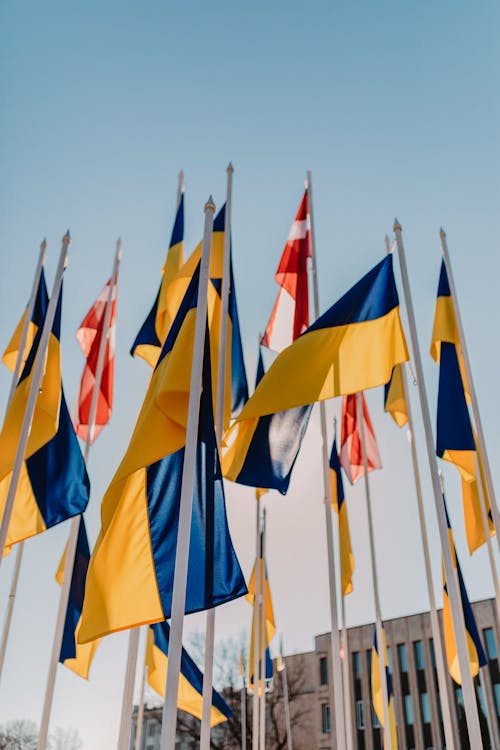 Free Ukranian and Danish Flags on Flagpoles Stock Photo