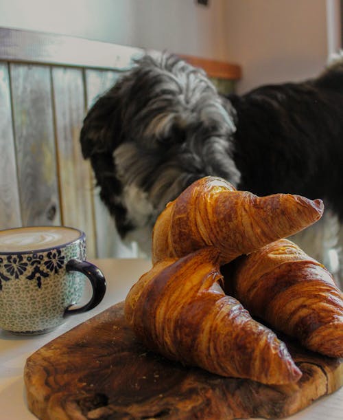 Croissants in Close Up Photography
