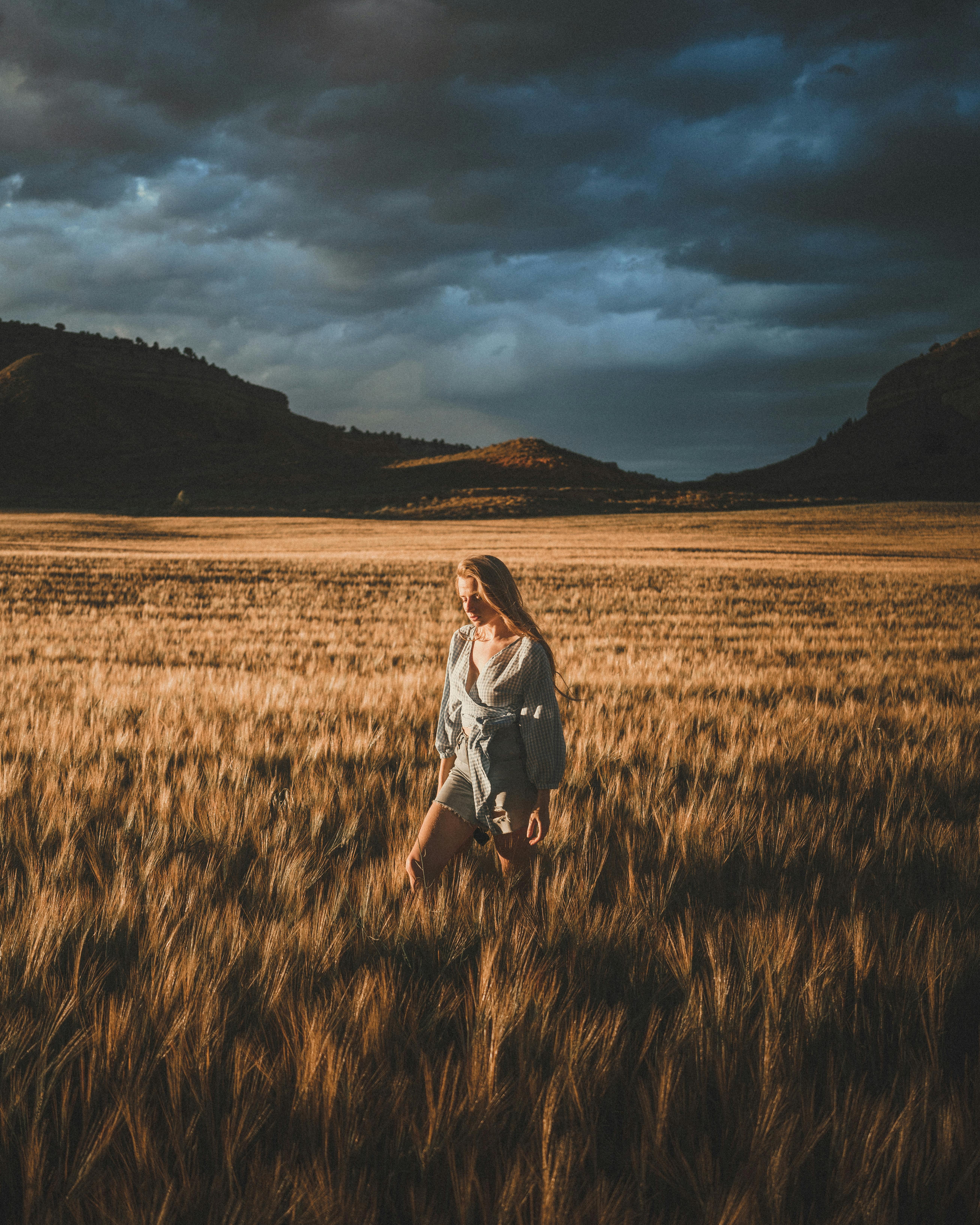 A woman walks through a golden field under dramatic clouds at sunset.